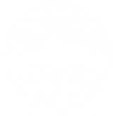 MVS Sales