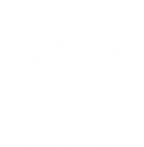 MVS Sales logo