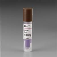 3M Attest Sterilization Biological Indicator Vial Steam, 1262 - Pack of 100