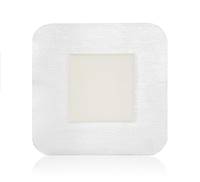BorderedFoam Foam Dressing, 4 X 4 Inch Square Adhesive with Border Sterile, 00298E - BOX OF 10