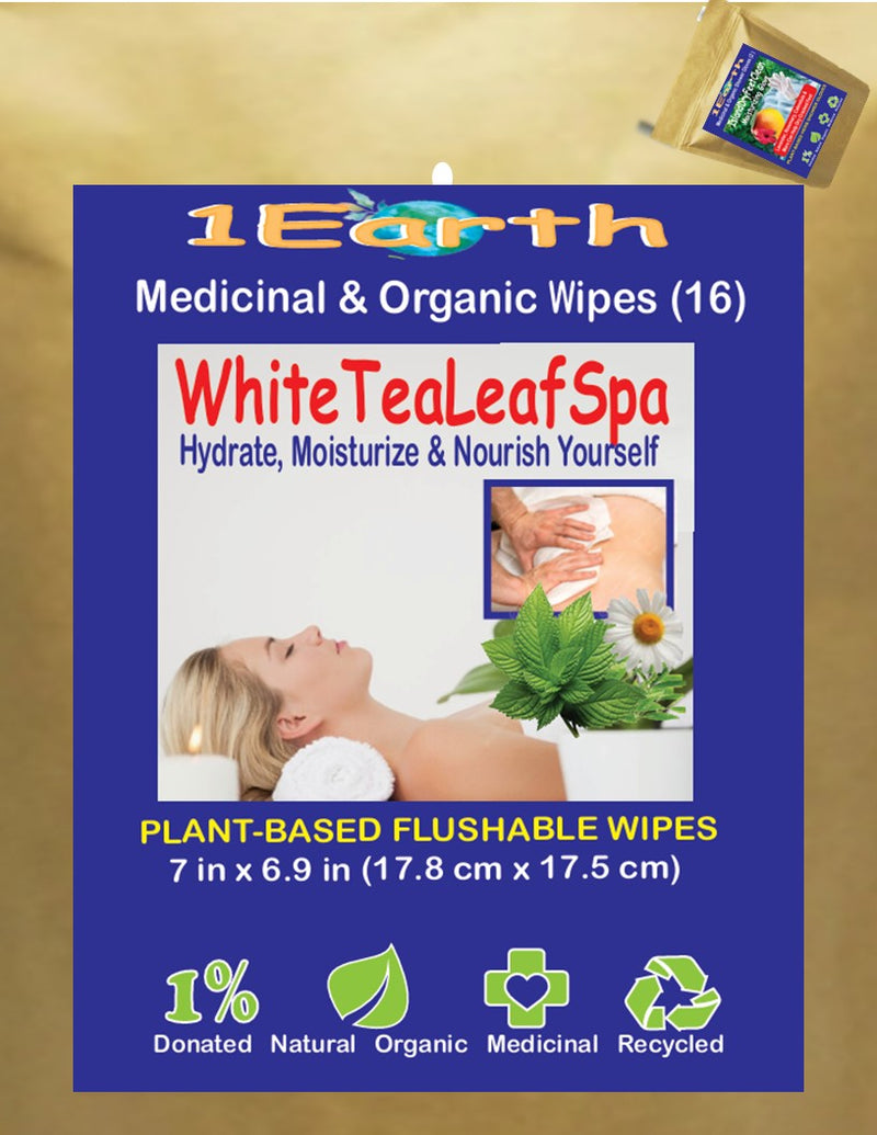 Medicinal Wipes, WhiteTeaLeafSpa, 1Earth, Case of 6 Packs of 16 (96 Wipes)