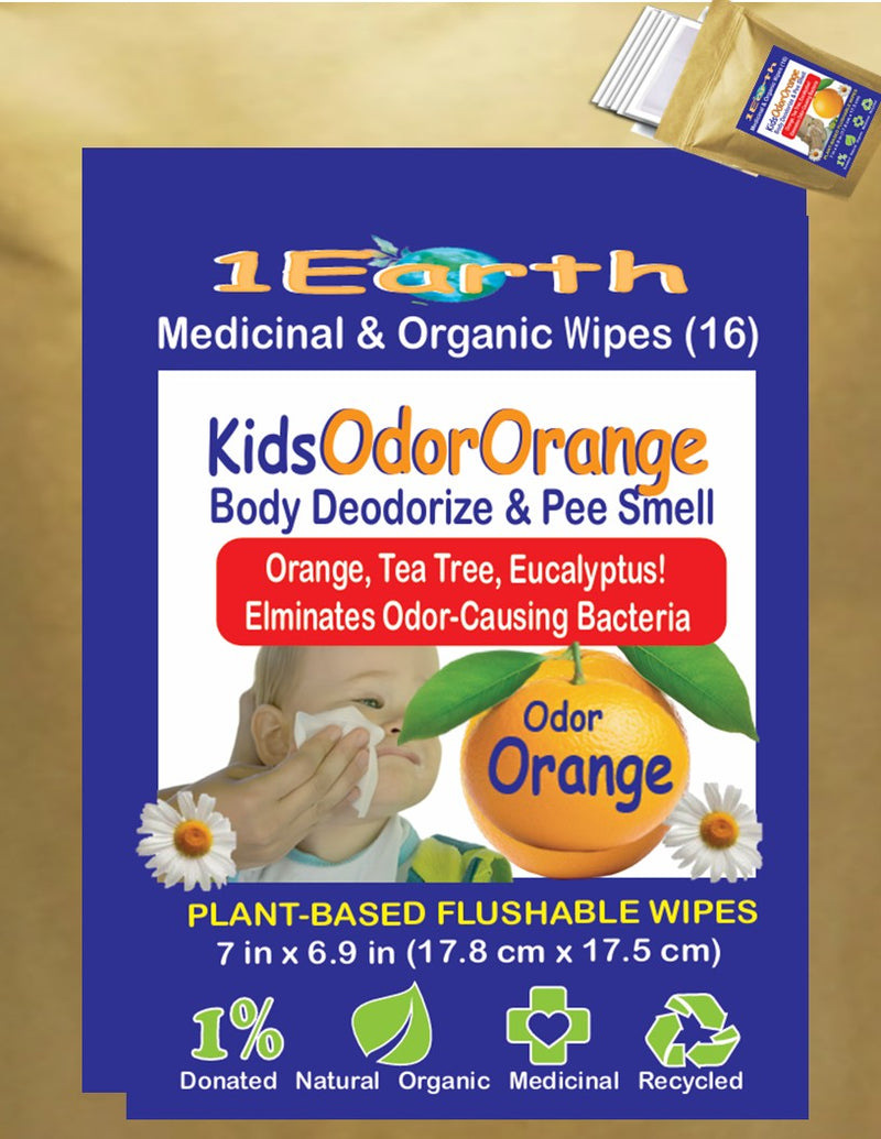 Medicinal Wipes, KidsOdorOrange, 1Earth, Pack of 16