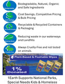 Medicinal Wipes, IslandMeditation, 1Earth, Case of 6 Packs of 16 (96 Wipes)