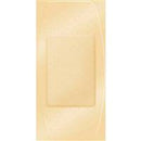 Careband Adhesive Strip 2 X 4 Inch Plastic Rectangle Sheer Sterile, CBD2016-012-000 - BOX OF 50