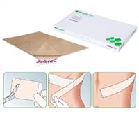 Mepiform Self Adherent Silicone Dressing Silicone Gel 2 X 3 Inch, 293299 - Case of 25