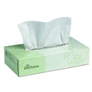 Georgia Pacific Envision Facial Tissue, White, 100 Count Box, 47410