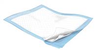 Simplicity Underpad 23 X 24 Inch Disposable Fluff Light Absorbency, 7136 - Pack of 10
